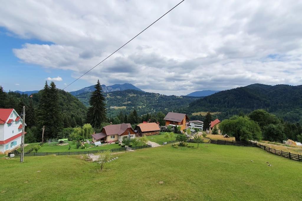 Chalet Dor De Munte プレデアル エクステリア 写真