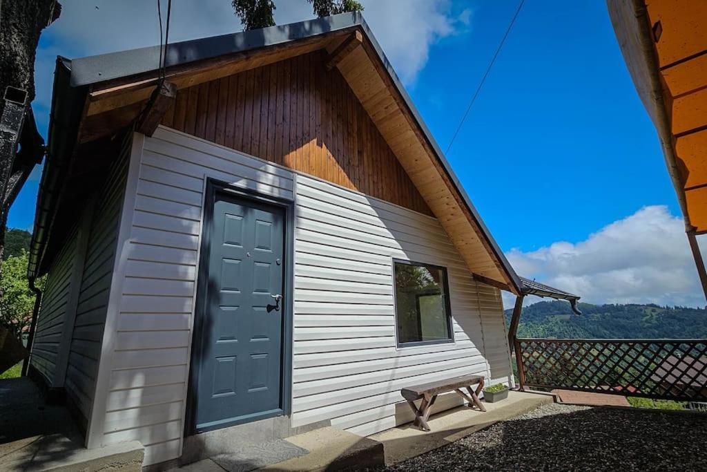 Chalet Dor De Munte プレデアル エクステリア 写真